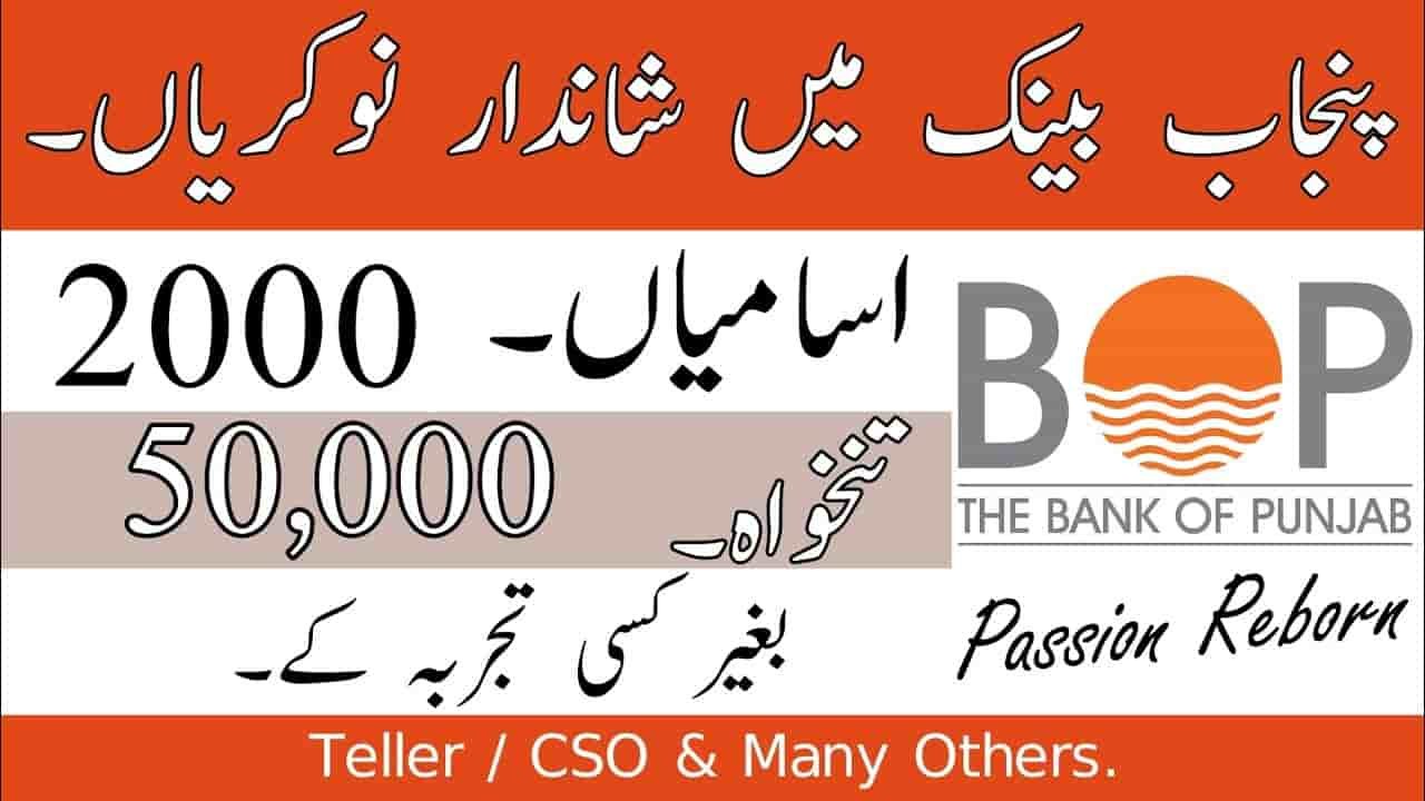 BOP Jobs 2024 – Latest Jobs in Bank of Punjab Online Apply