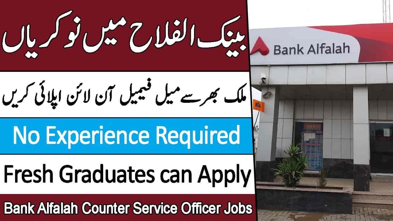 Bank Alfalah Jobs 2024 – Latest jobs for fresh graduates