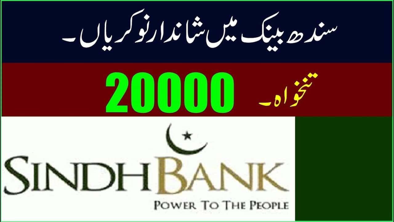 Sindh Bank Jobs 2024 – Latest Advertisement Online Apply