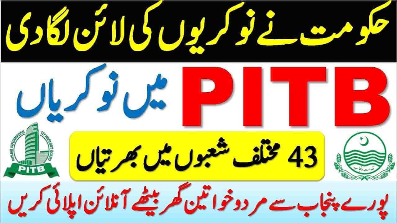 PITB Jobs 2024 – Punjab Information Technology Board Jobs