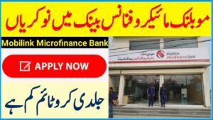 Mobilink Microfinance Bank Jobs