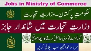 Ministry of Commerce Jobs