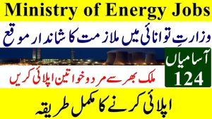 Ministry of Energy Jobs