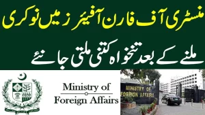 Ministry of Foreign Affairs jobs